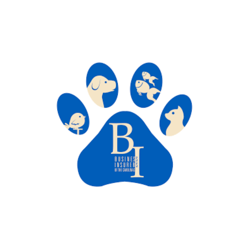 Business Insurers of the Carolinas