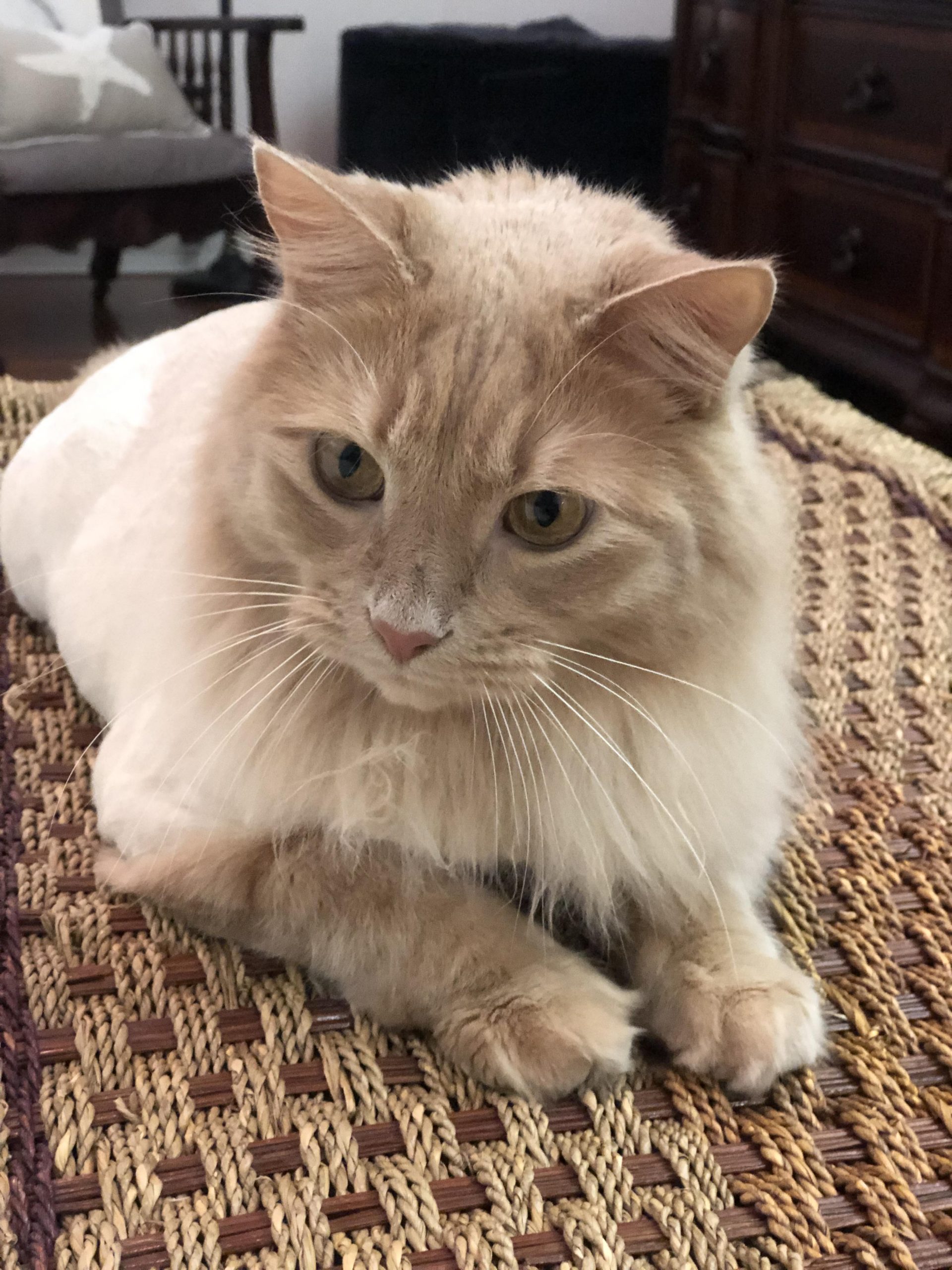 B509B46B-FBD8-412E-874B-4905B895CDBB